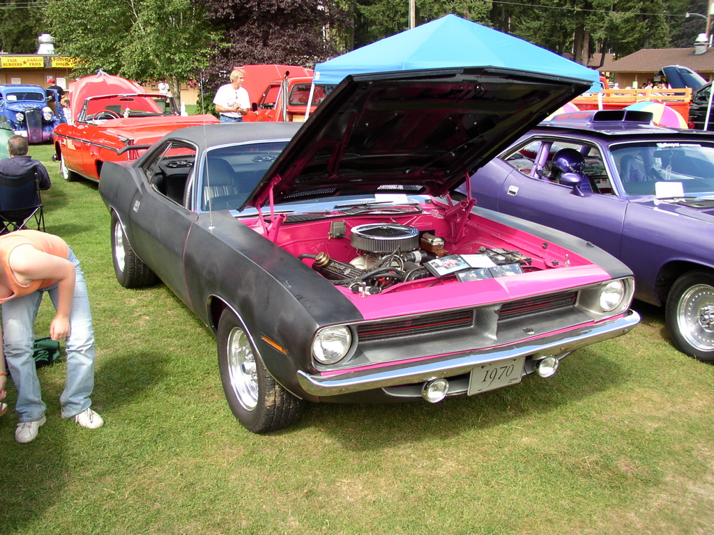 P1010028.JPG